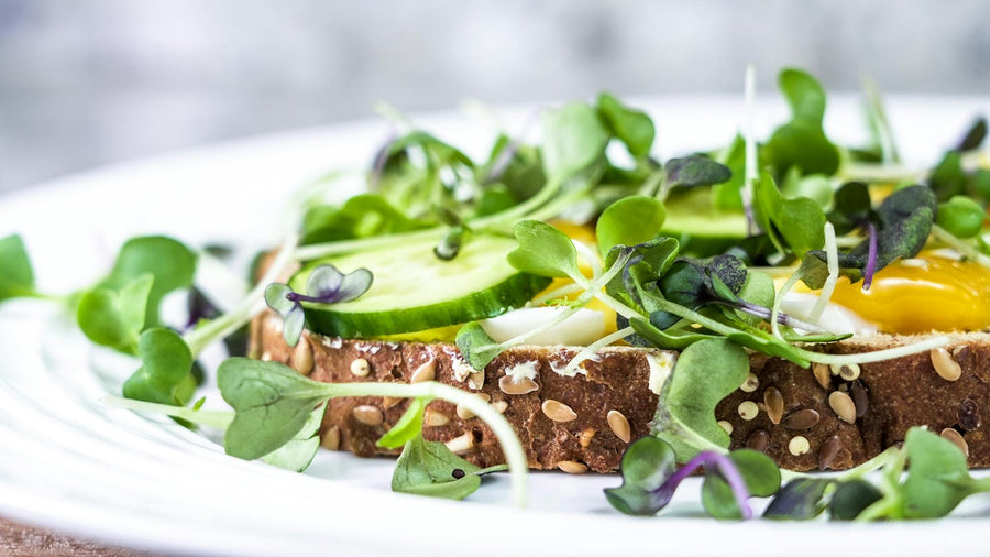 Circadian Eating: How Does It Change During the Spring?