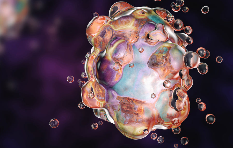 Reprogram, Reset, Rewind: The Science of Cellular Rejuvenation and Reprogramming