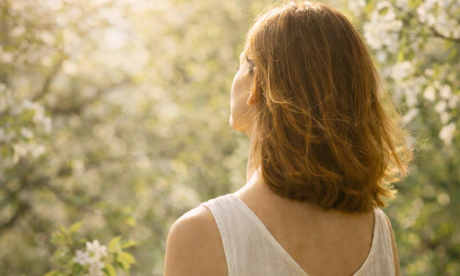 The rhythm of cellular renewal: reset and rebuild