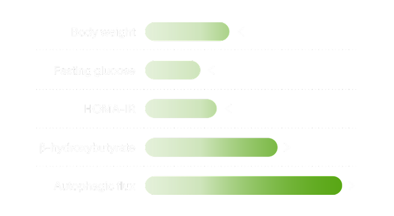 Cellular renewal - Detail