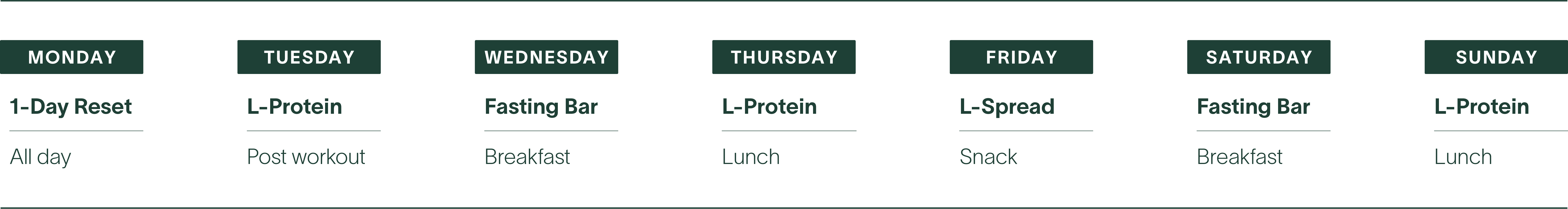 Daily Habit Schedule